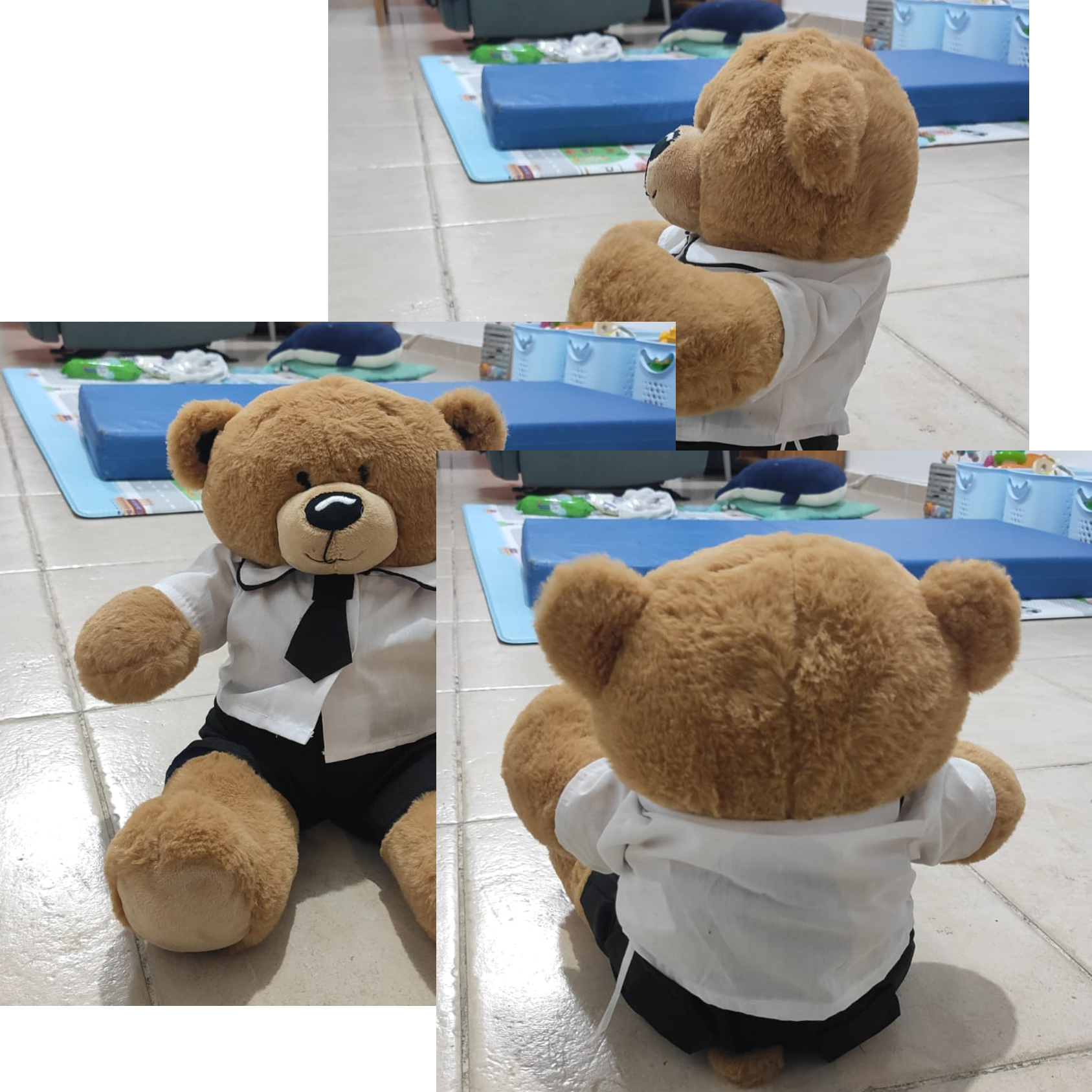 Teddy Images